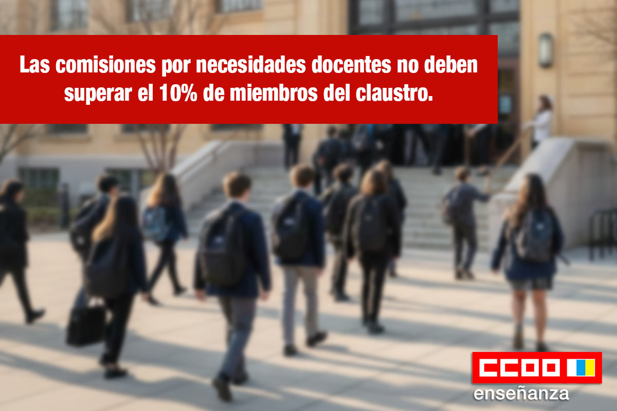 Las comisiones por necesidades docentes no deben superar el 10% de miembros del claustro.